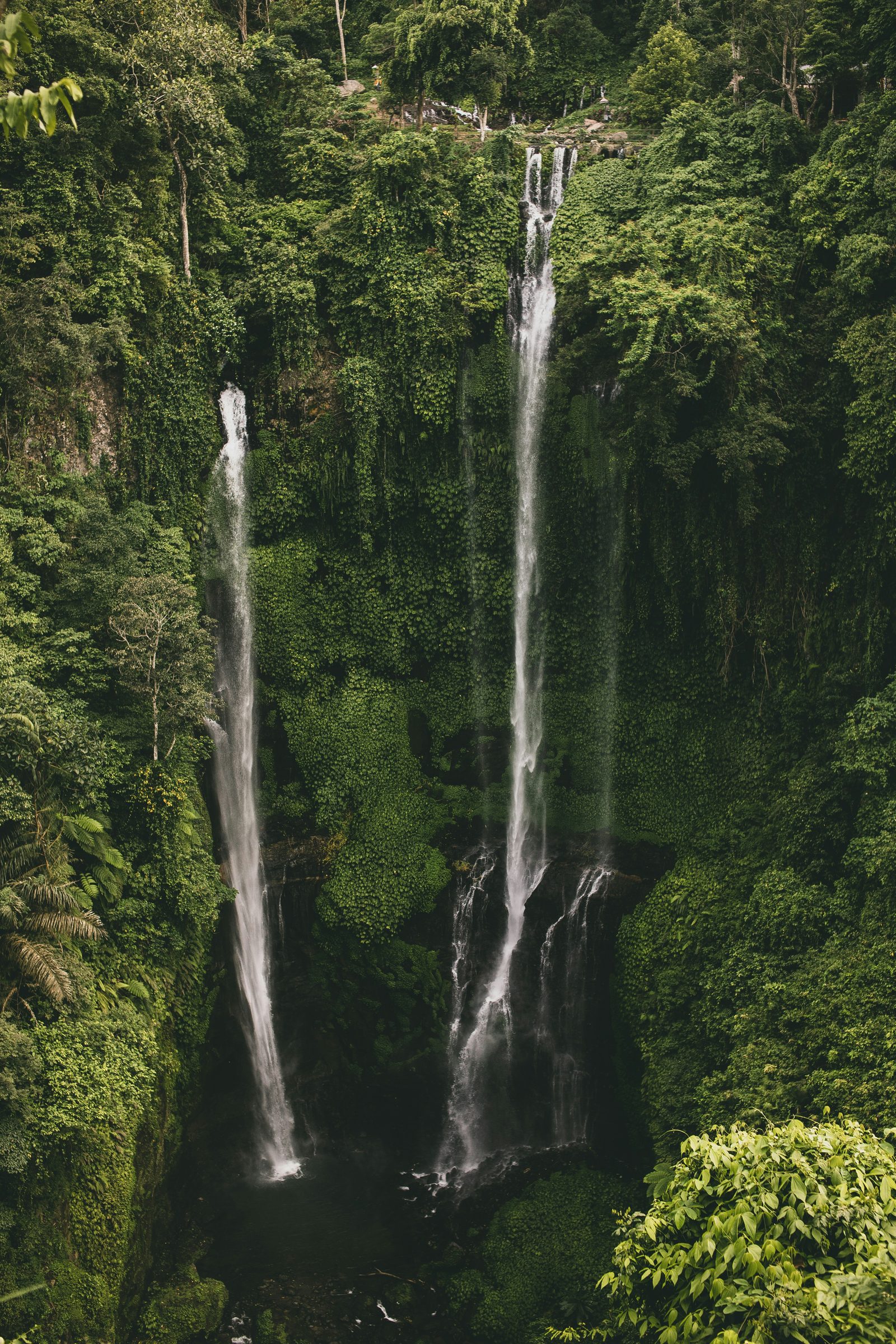 A guided trek to a hidden jungle waterfall, Bali