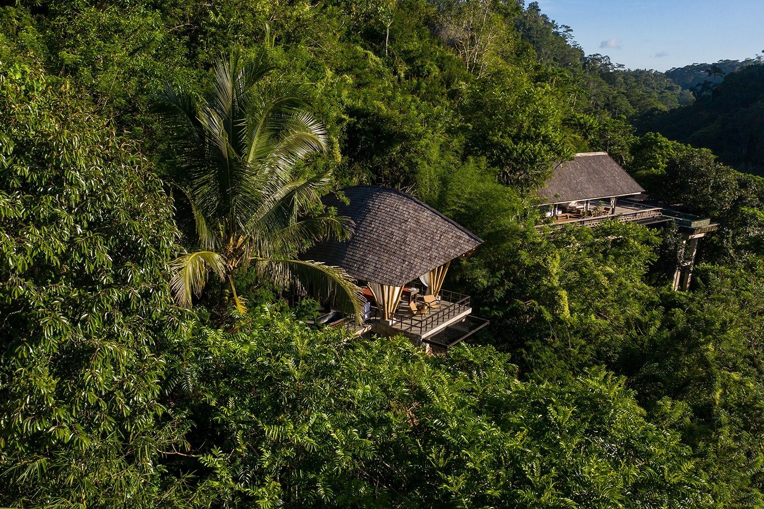 Banyan Tree Ubud
