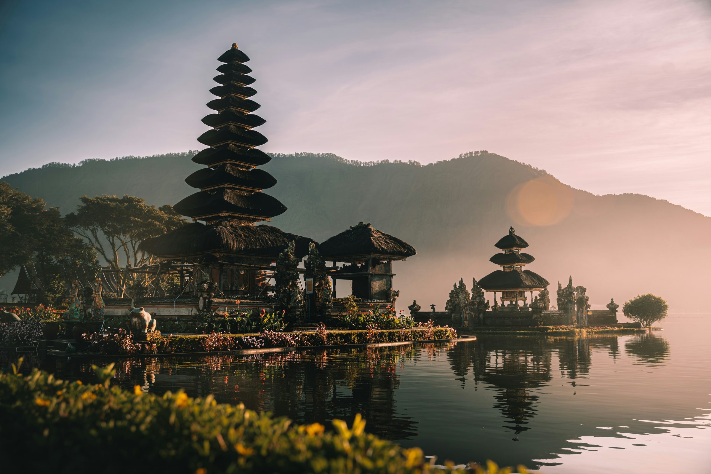 Bali rice terraces and tropical greenery