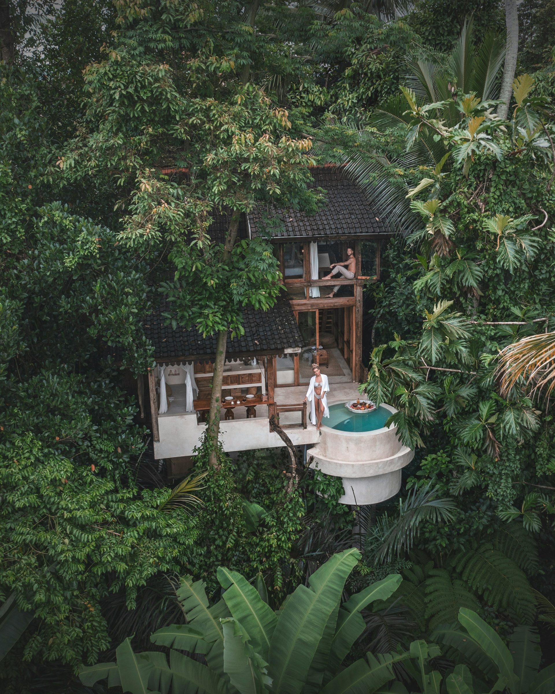 A jungle villa in the canopy, Ubud, Bali