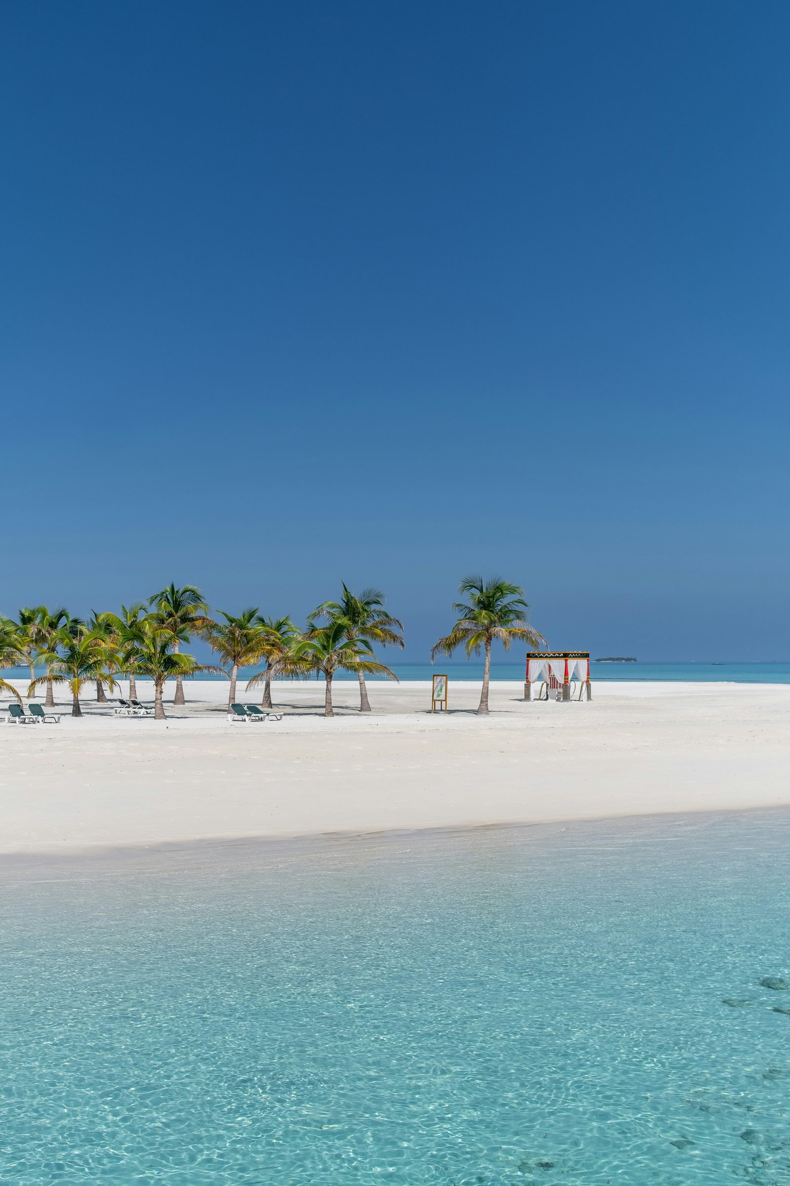 A palm-lined beach with cabanas, St Barths, Caribbean