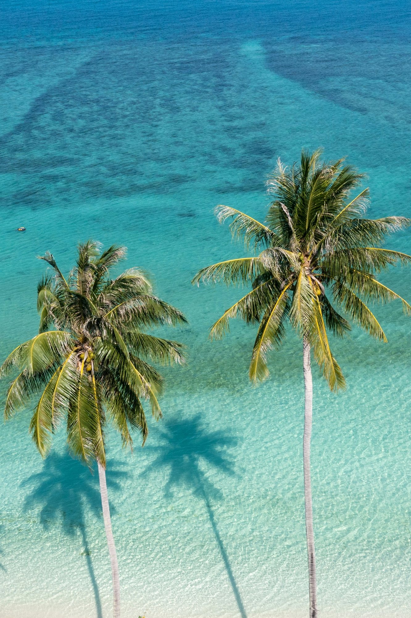 Sandy Lane