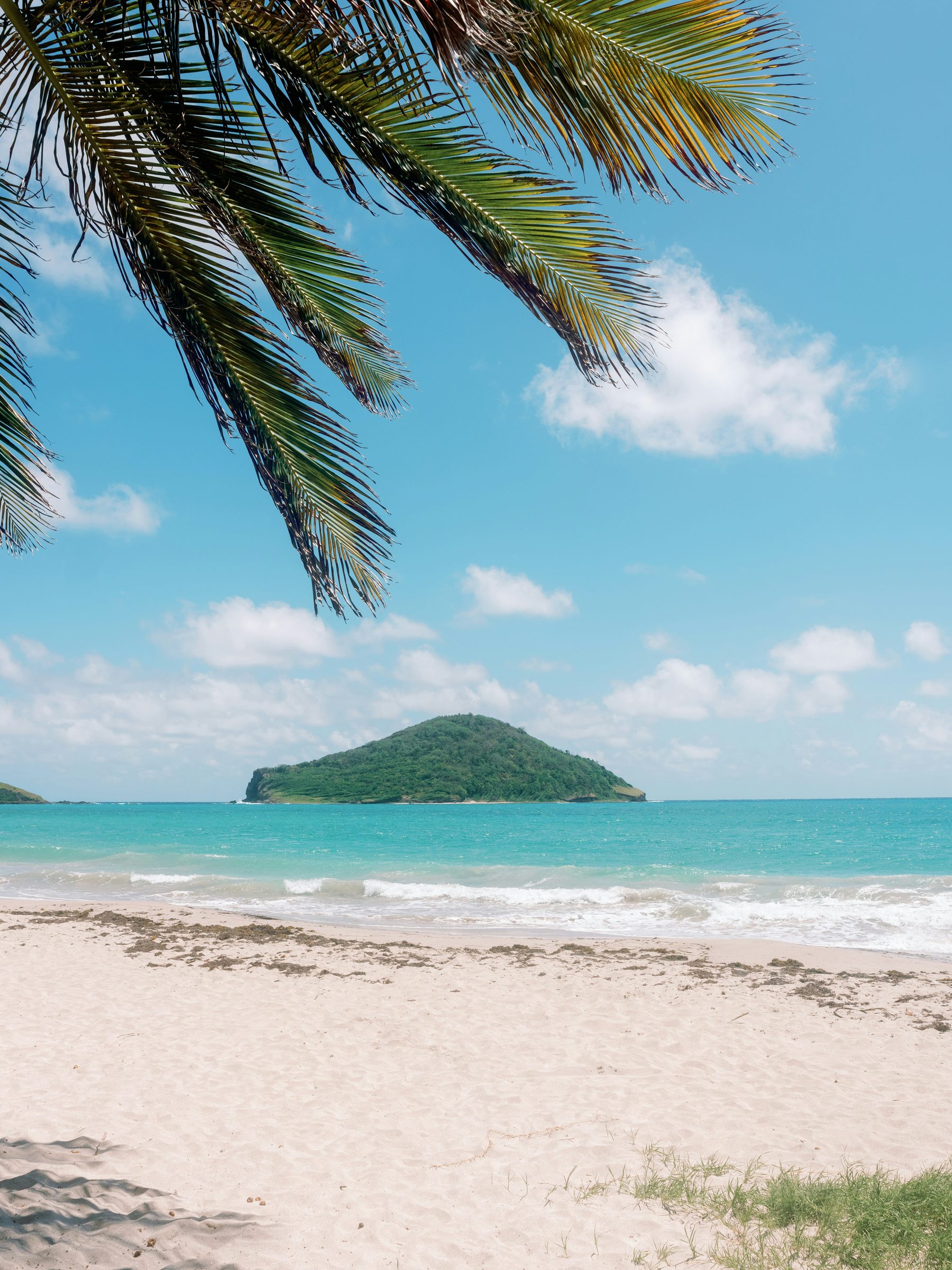 A palm-framed beach and offshore islet, Antigua, Caribbean