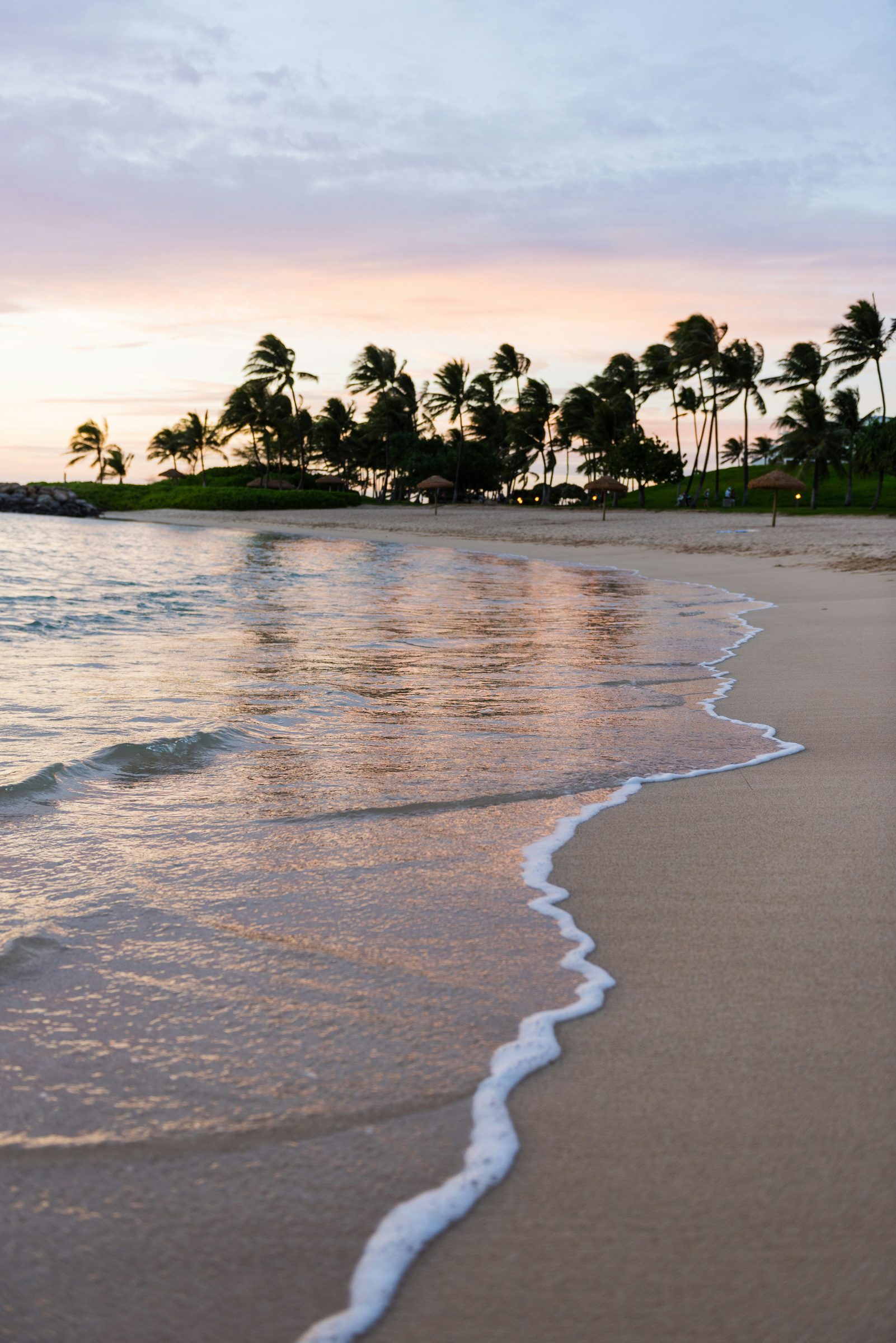 A private beach dinner at sunset, Caribbean