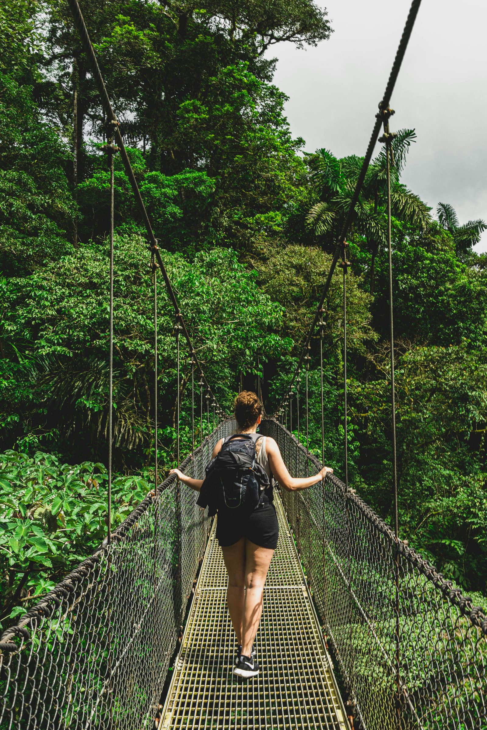 A rainforest hanging bridge near Arenal, Costa Rica