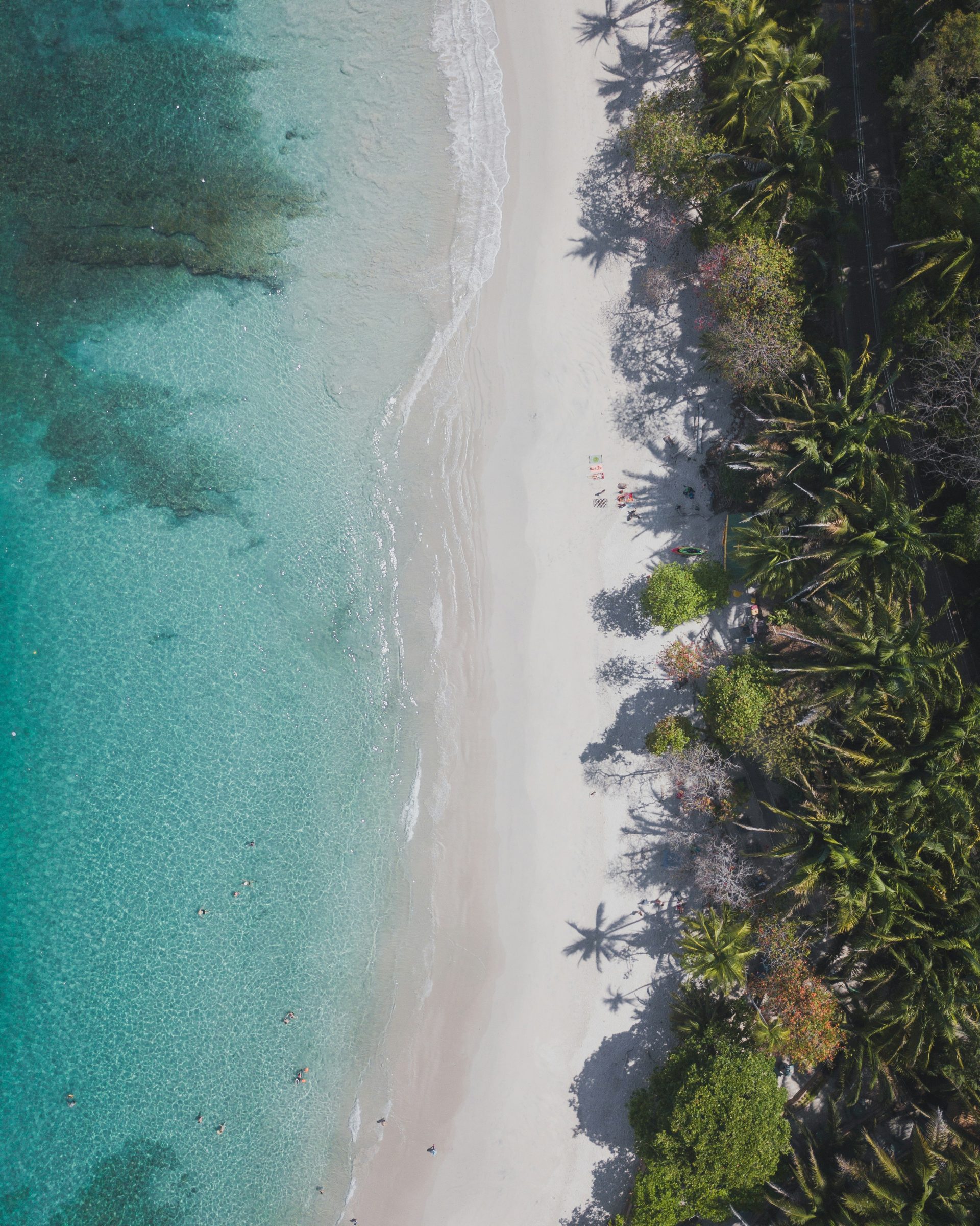 A white-sand beach fringed by palms, Guanacaste, Costa Rica