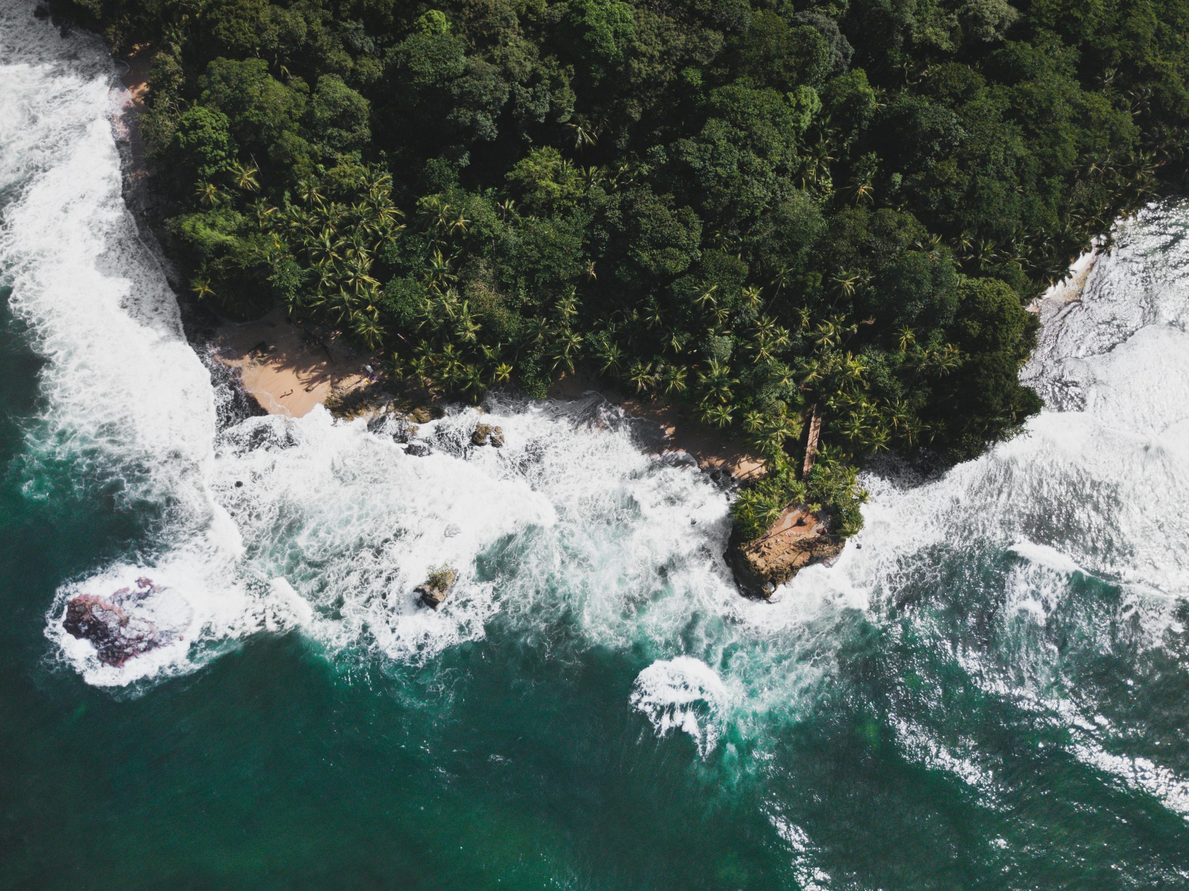 Wild rainforest meeting the Pacific on the Osa Peninsula, Costa Rica