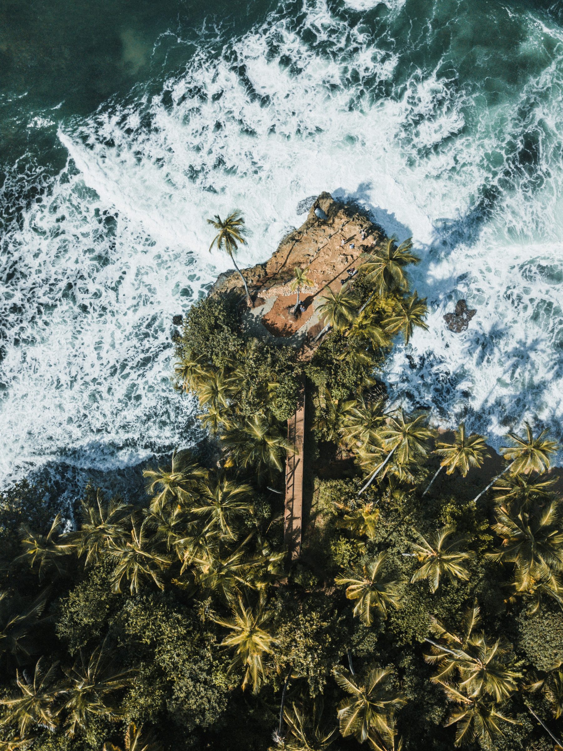 A palm islet in the Pacific surf, Costa Rica