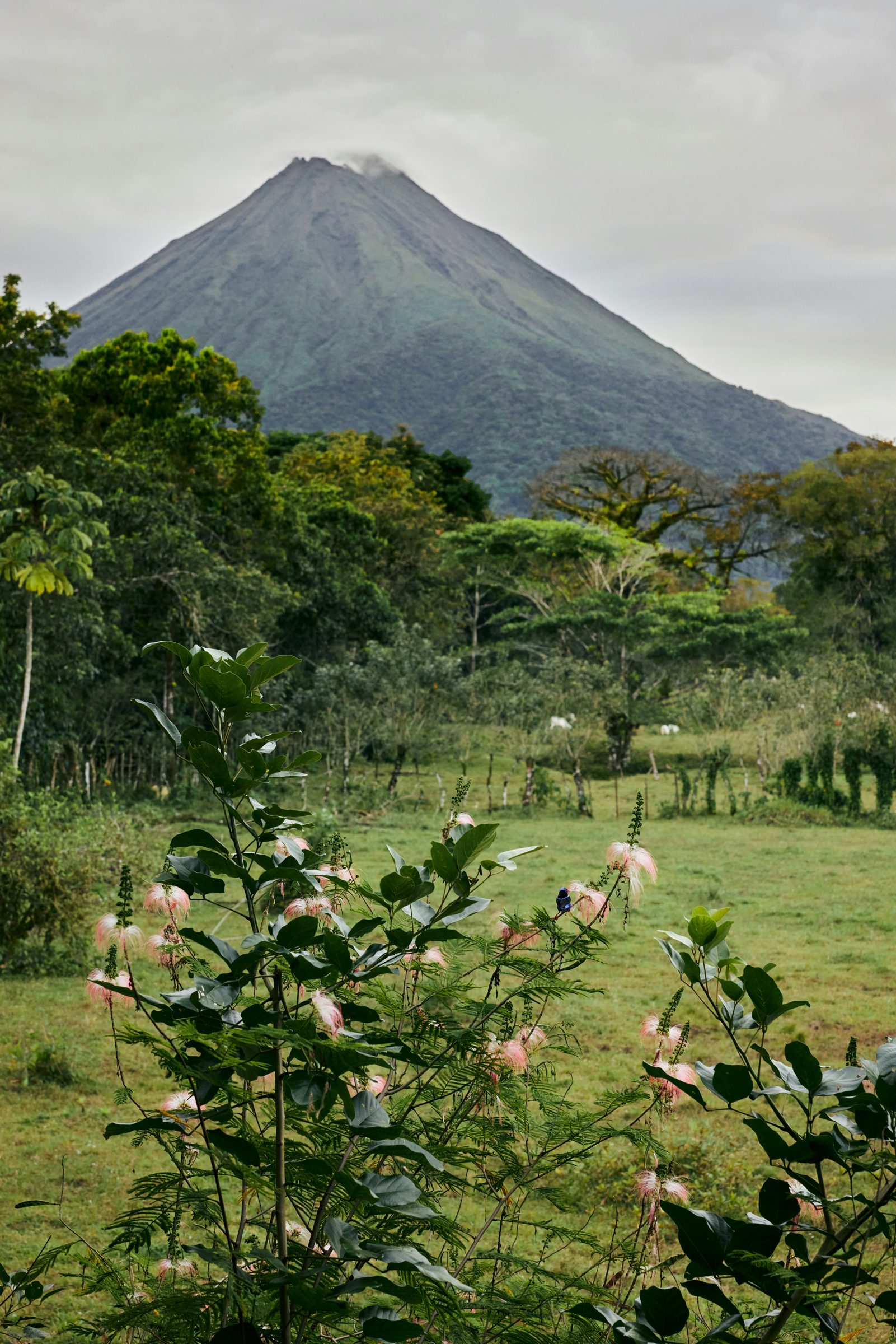 Arenal Volcano, Costa Rica