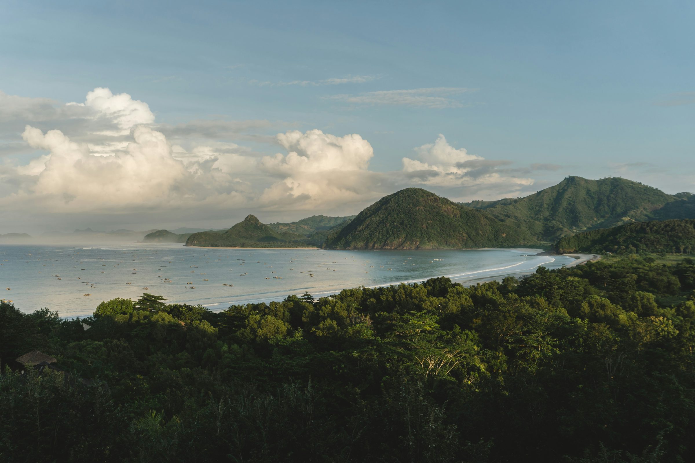 A wild green bay along the Costa Rican coast