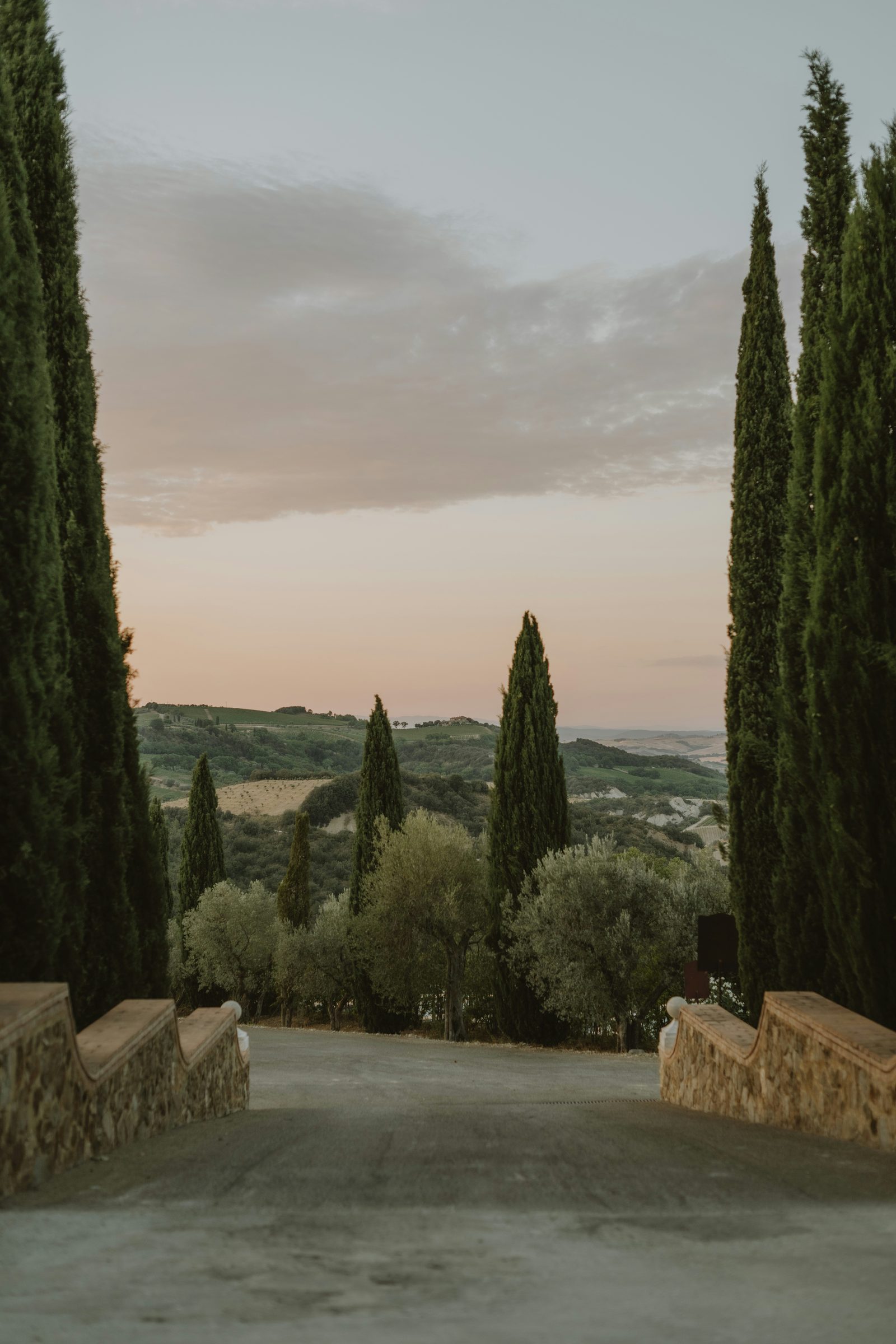 A cypress avenue in Tuscany, Italy