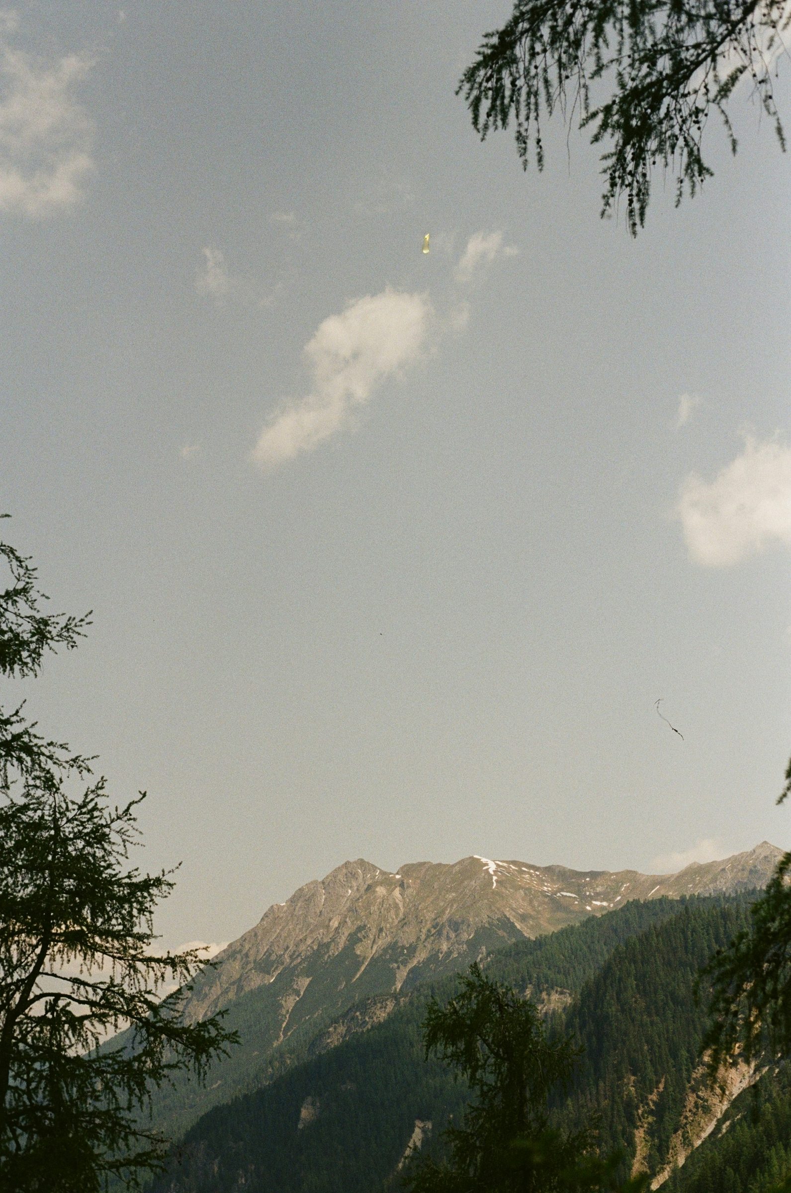 A Dolomite forest-bathing walk, Italy