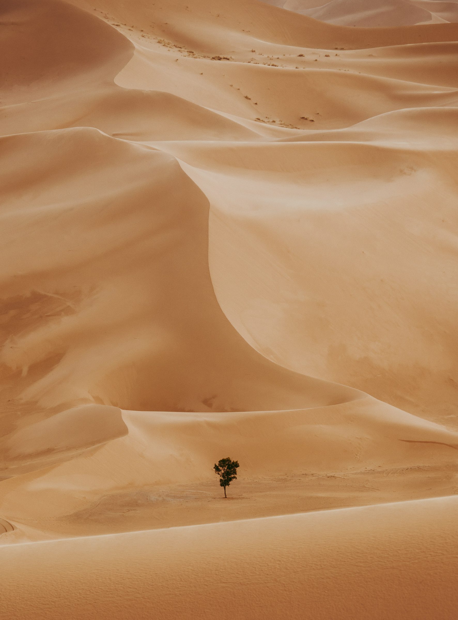 The Agafay Desert, Morocco