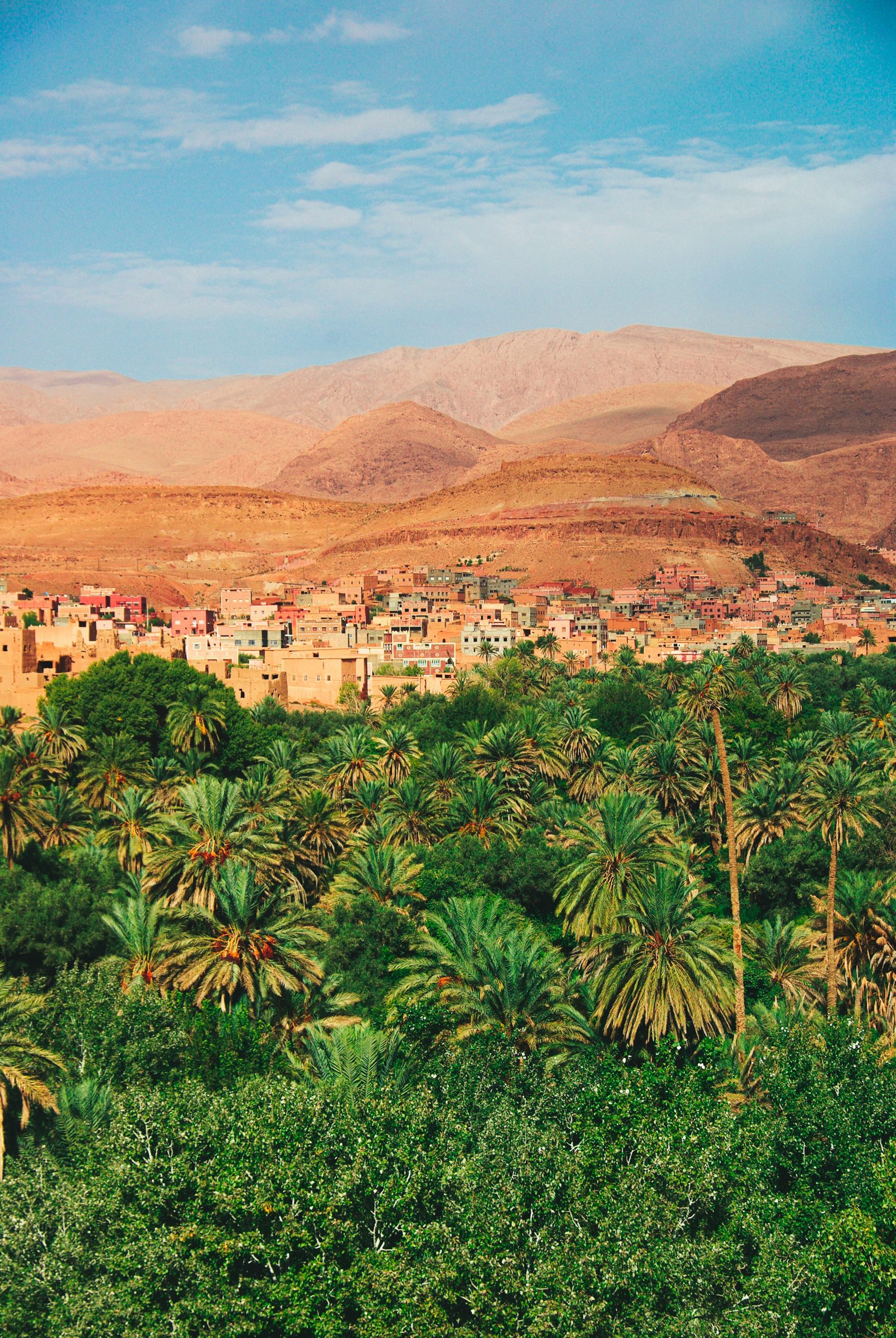 The Palmeraie, Marrakech, Morocco