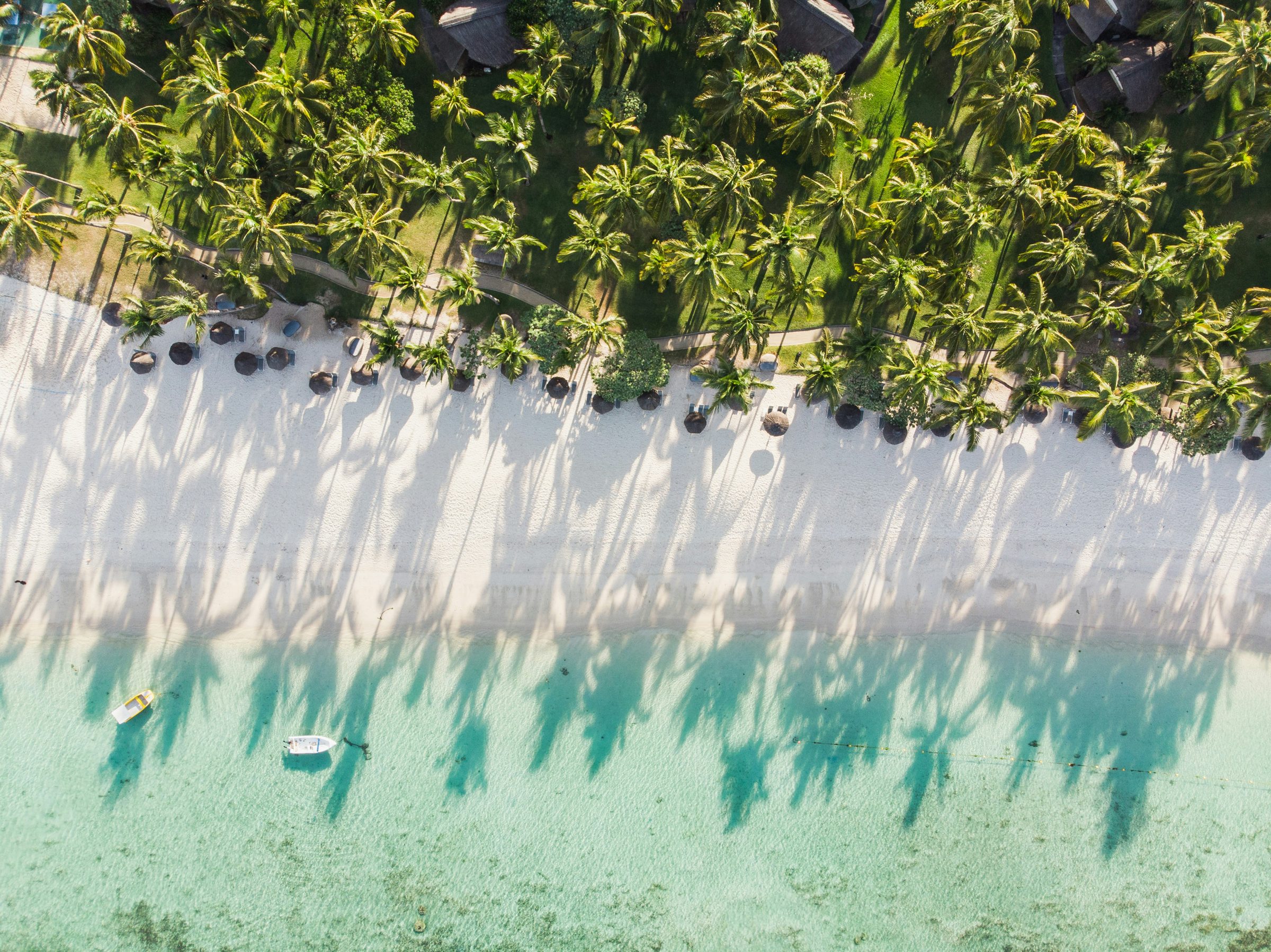Palm shadows across a pale-sand beach above the lagoon, Mauritius
