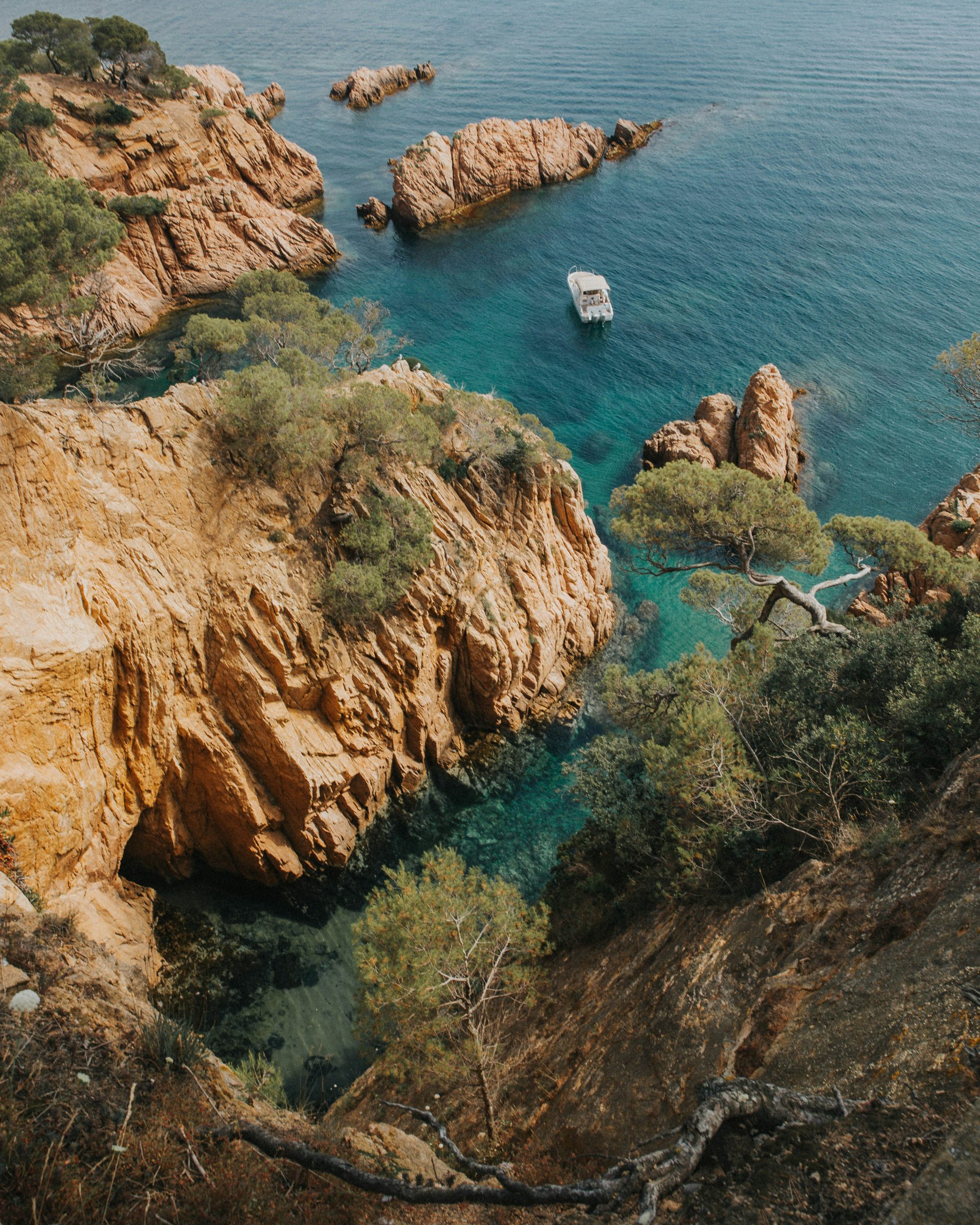 A turquoise Mediterranean cove framed by pines and warm cliffs