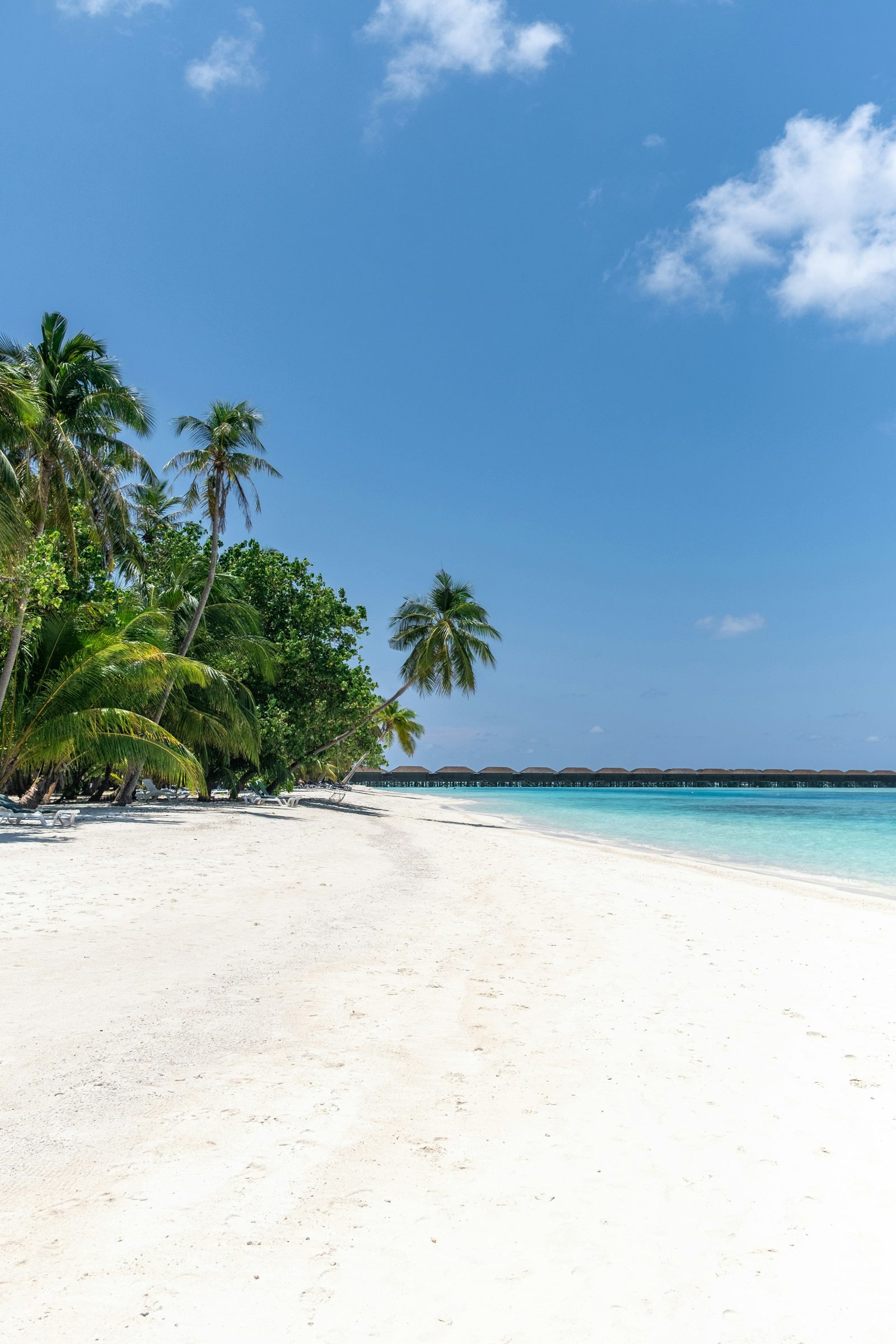 A castaway lunch on a deserted beach, Seychelles