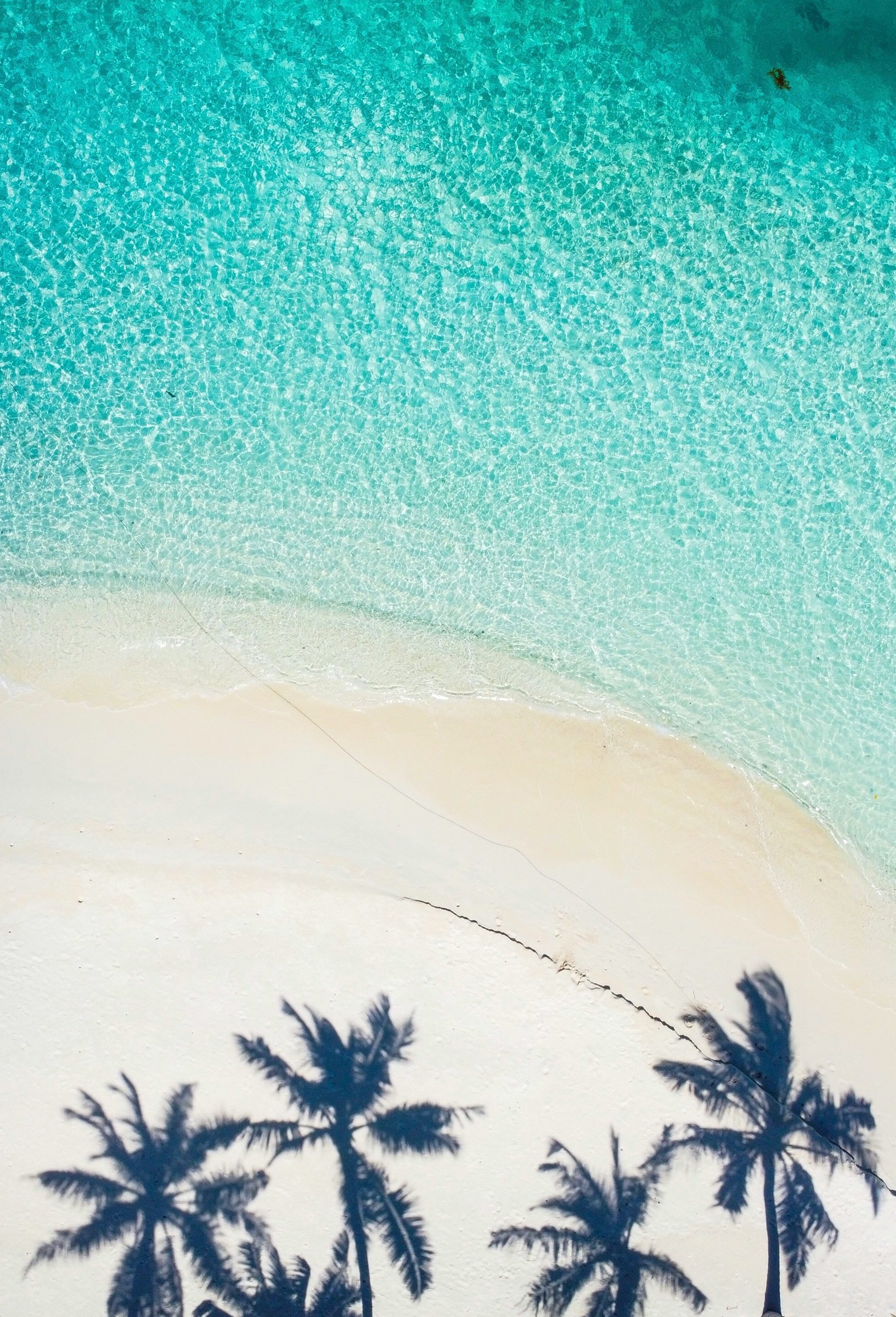 A private-island buy-out, Seychelles
