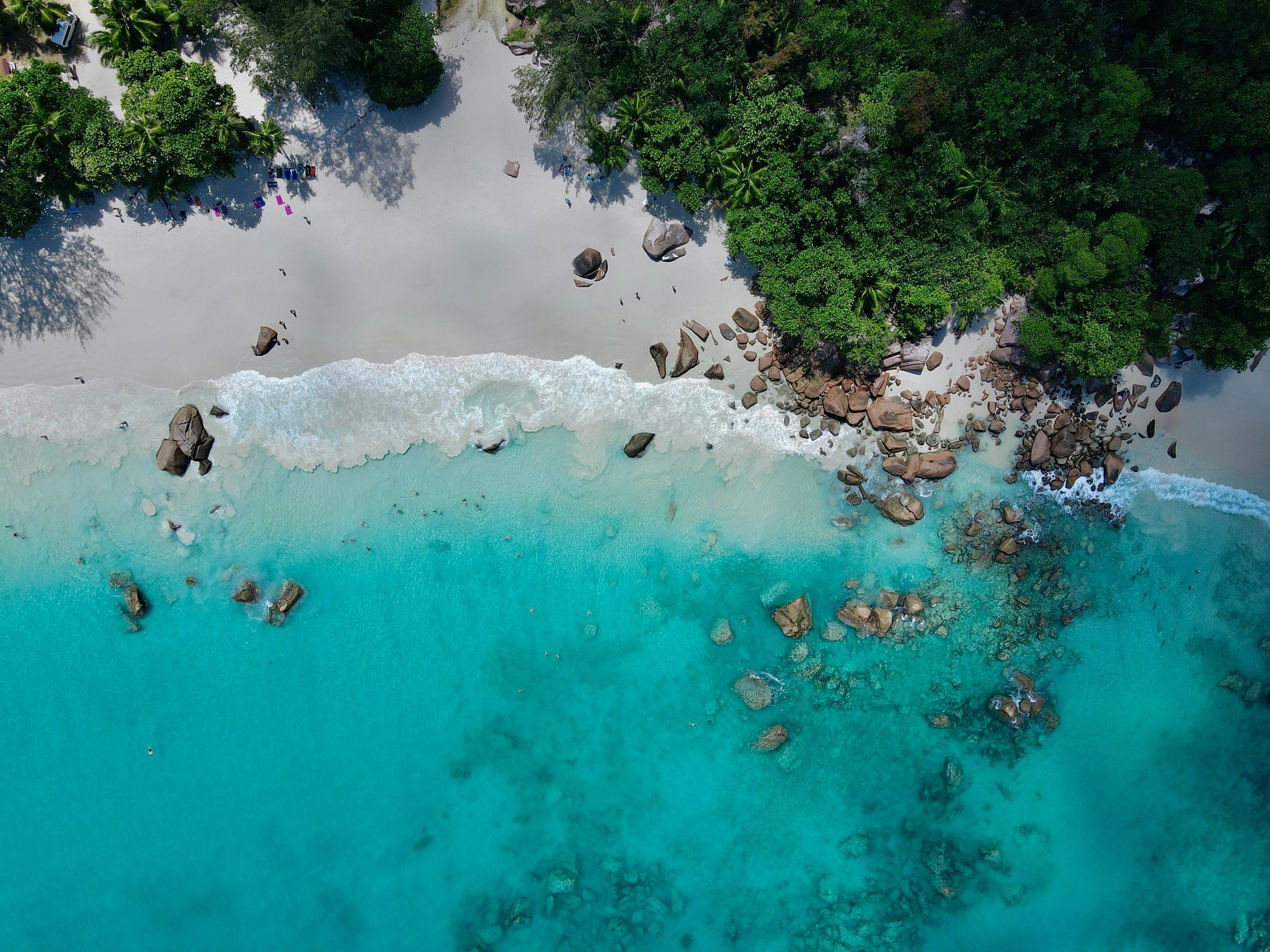 A guided dive on the outer reefs, Seychelles