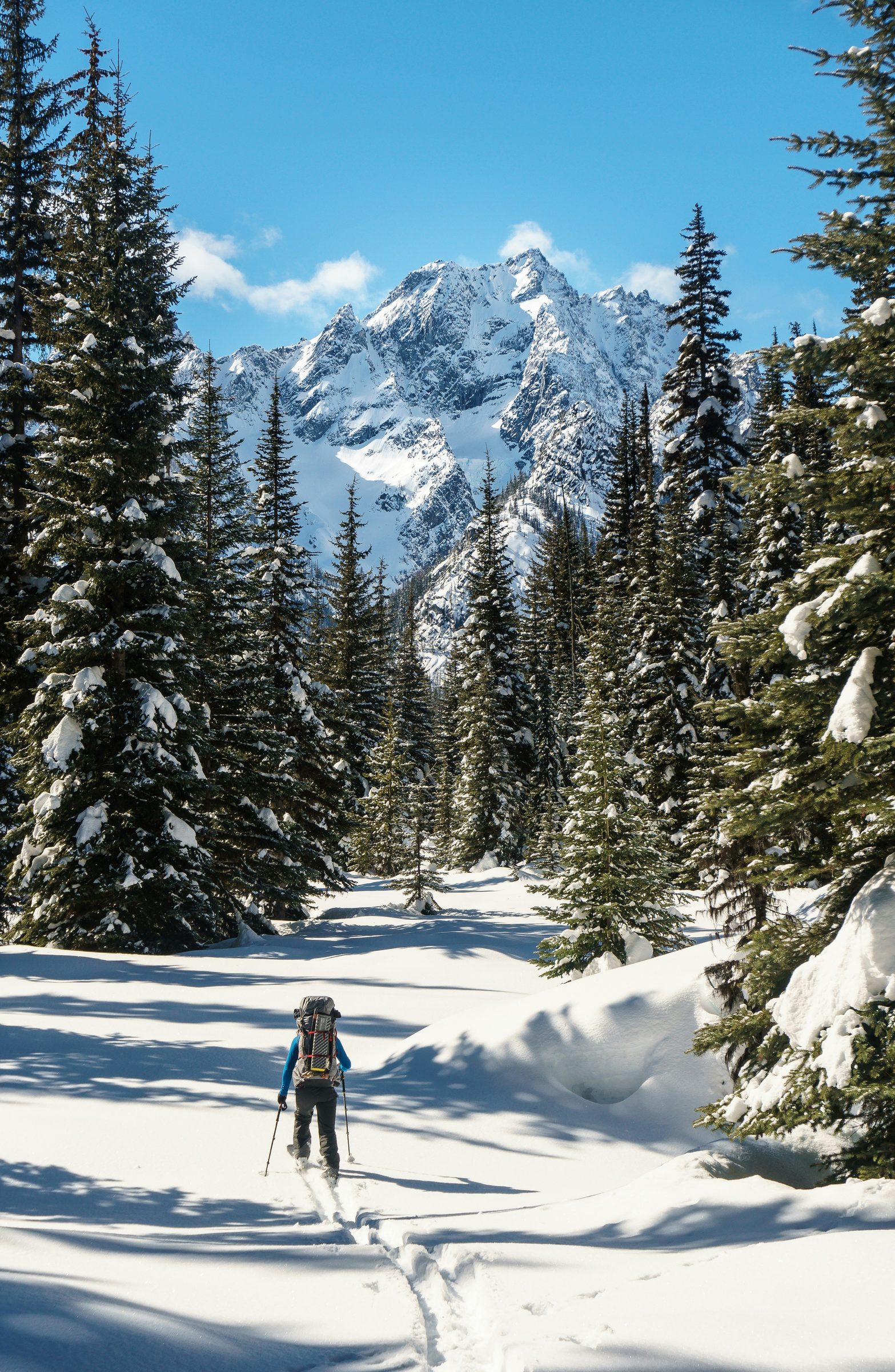 Alpine winter landscape, Austria