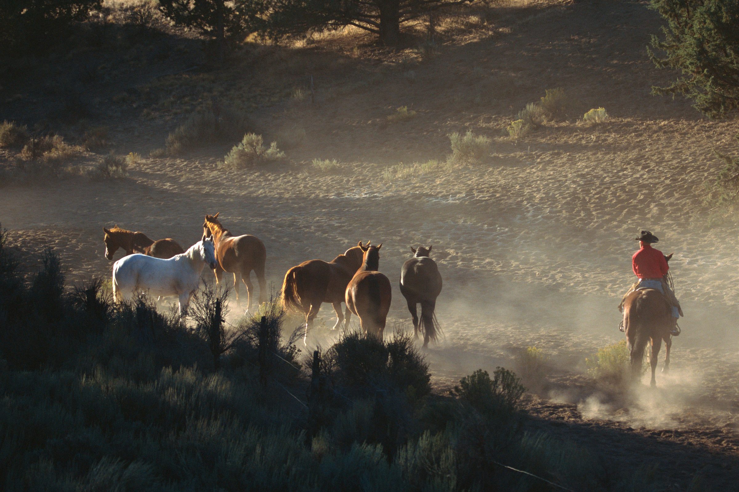 The National Parks, United States