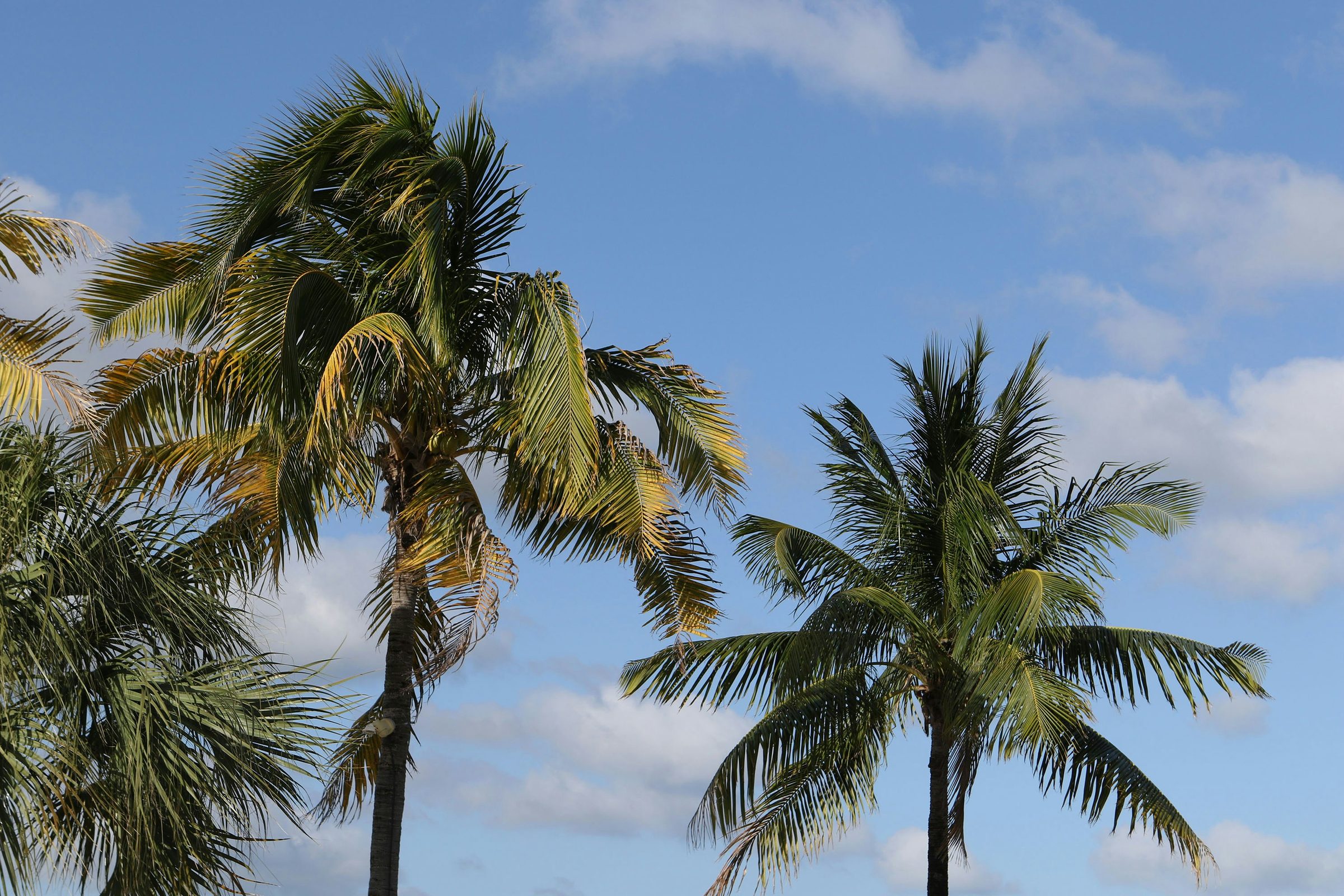 Hawaii, United States
