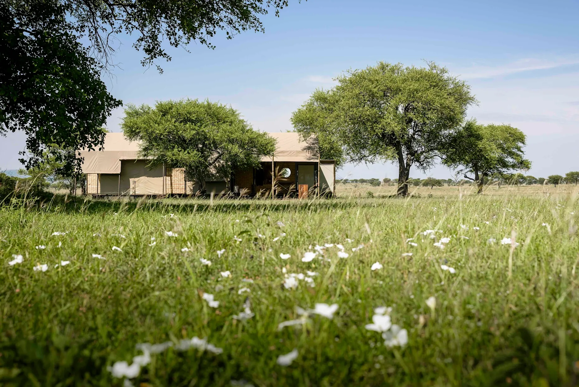 Safari and beach honeymoon