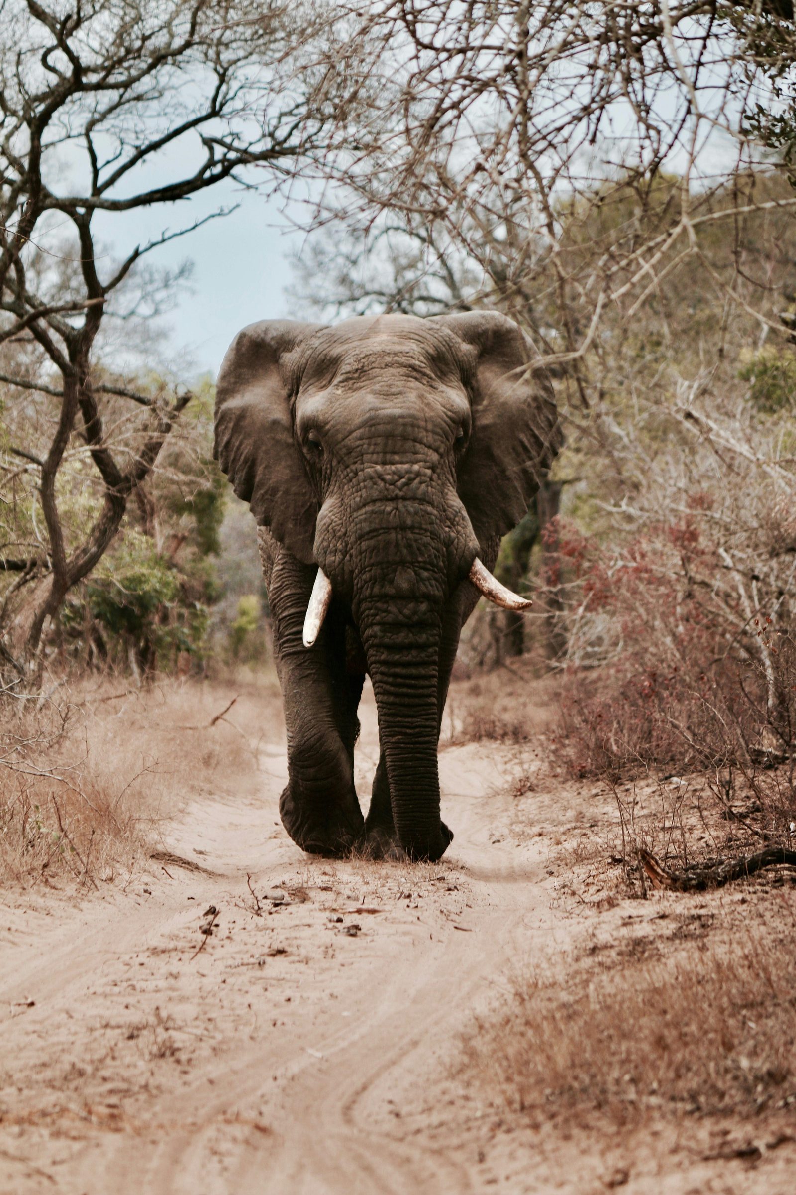 Rwanda