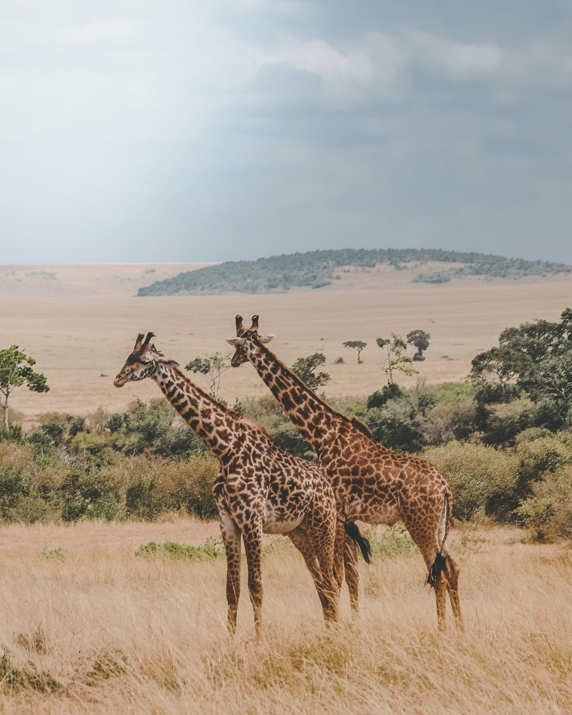 Rwanda
