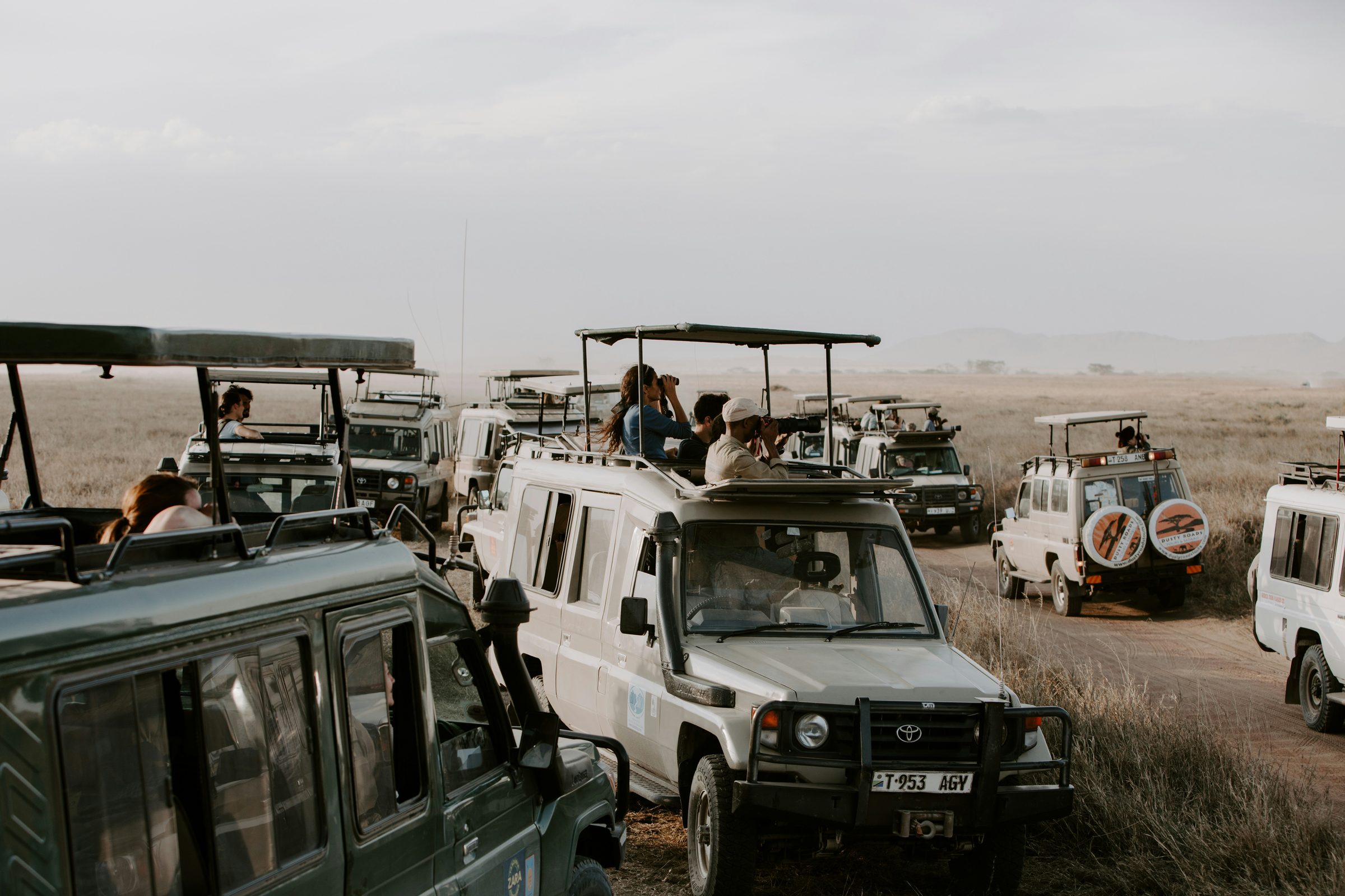 The great migration river crossing, the Serengeti, Tanzania
